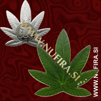 2011 Benin, Cannabis, 100 CFA, posrebren 2011 Benin, Cannabis, 100 CFA, posrebren