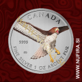 2015 Kanada, Red-tailed Hawk (Barvni), 5 CAD, 1 oz